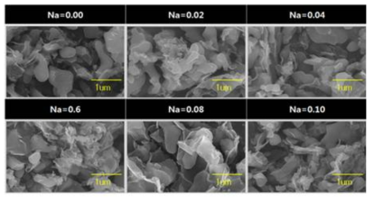 SEM images of the Li3-xNaxV2(PO4)3/Graphene composite.