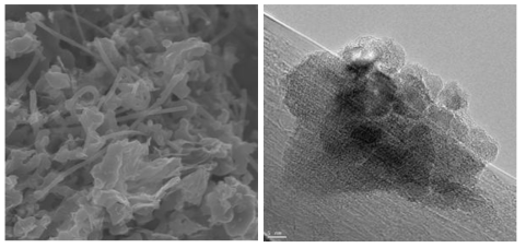 Li3V2(PO4)3/carbon nanofiber+graphene 복합 양극재의 SEM 및 TEM 사진