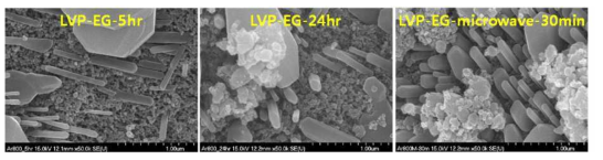 열처리 시간과 열처리 환경에 변화를 준 Li3V2(PO4)3 활물질의 SEM 이미지