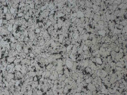 Microstructure image of Spring Retainer material SS440