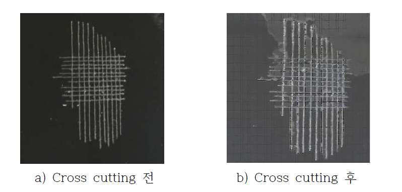 합성비율 5:5 Sample Cross cutting test 형상