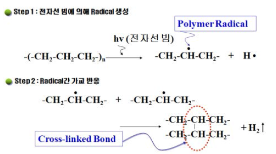 전자선 가교 메카니즘