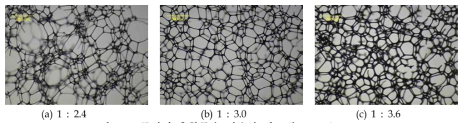몰비별 축합물을 이용한 발포체 cell 구조(×300)