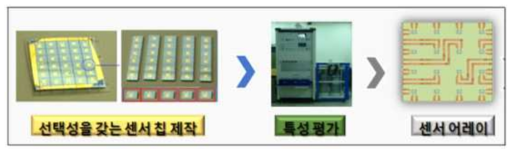 고감도와 선택성을 갖는 호기성 2×2 센서 어레이 제작 흐름도