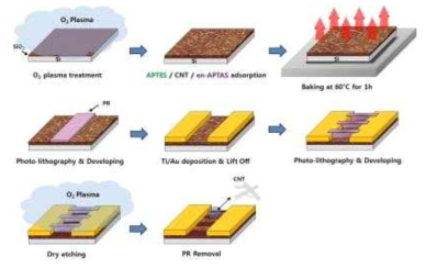SWNT에 아민기로 기능화 처리한 NO 센서 공정도
