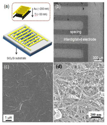 제작된 CO 센서의 (a) 모식도, (b) 전극 사진, (c) 금 나노입자 기능화 전과 (d) 금 나노입자 기능화 후 SEM 사진