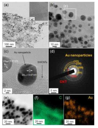Au NP 기능화된 SWCNT의 TEM 분석 결과: (a)-(d); EDX 분석 결과: (e)-(g)