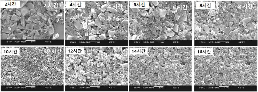 분쇄 시간별 분말 입자들의 전자현미경 관찰