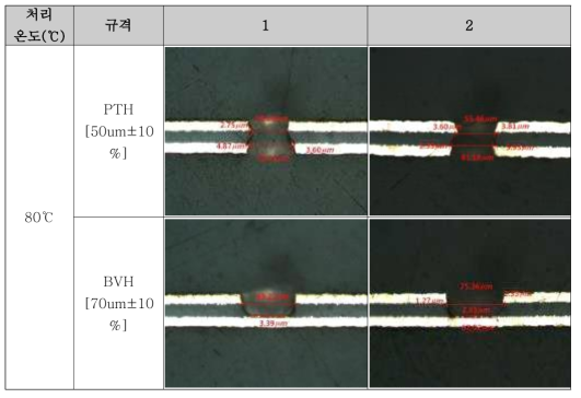 PTH, BVH 평가시편 최적약품 평가결과