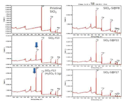 SiO nanoparticles, 내오염 입자 합성(1-2) SiO –Fm (m=13) (왼쪽)와 SiO2–S@Fn (n=8, 13, 17) (오른쪽)의 XPS scan spectra.