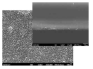 필름 표면에 분포한 내오염 소재 SiO2-F13의 SEM