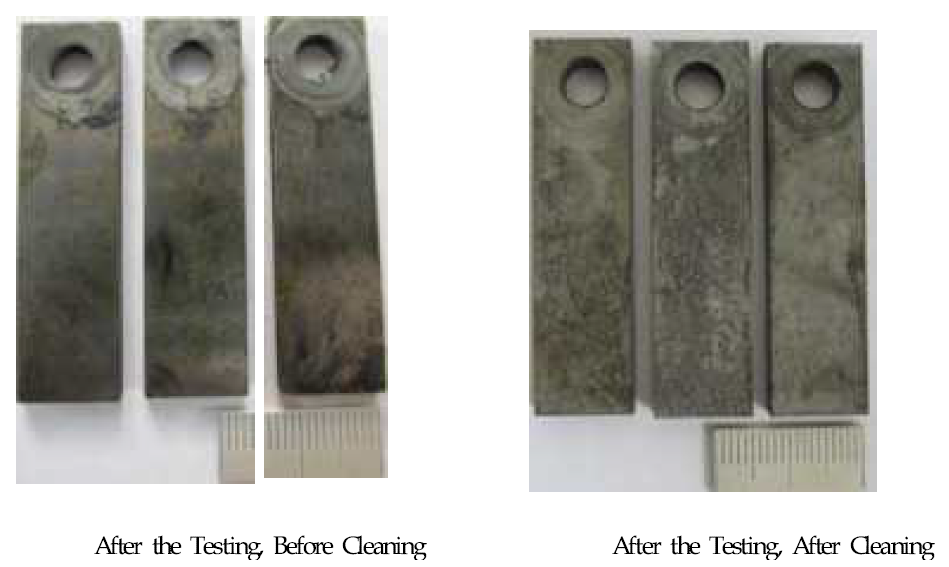 Baseline Test Coupon Surface