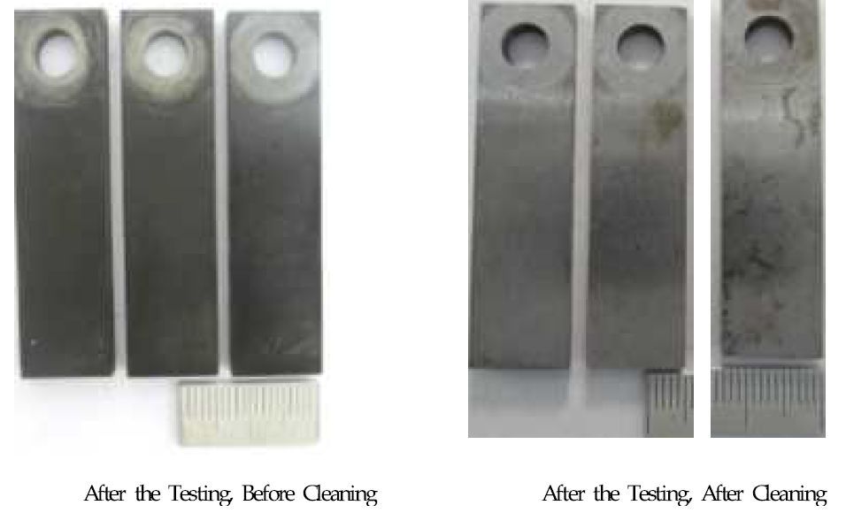 Corrosion Inhibitor Test Coupon Surface
