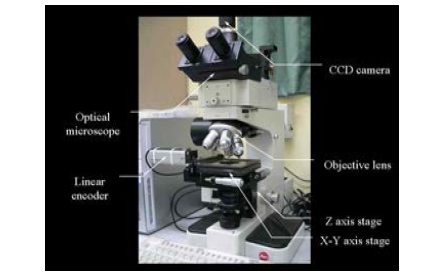 선폭 측정용 광학 현미경