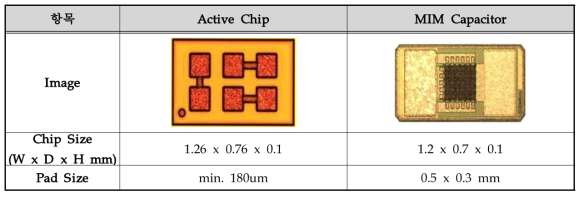 Active Chip 및 MIM Capacitor 정보