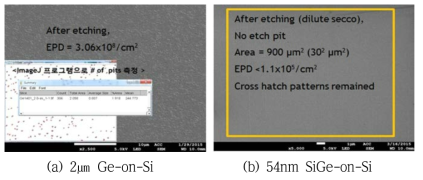 Secco etchant를 이용한 EPD 분석 SEM 사진