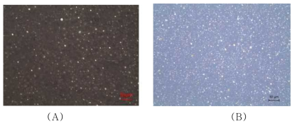 Ag-Cu-Ti계 페이스트의 광학현미경 관찰 x200