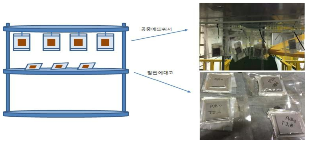 5차 성형 TEST