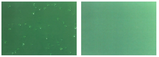 산화막 제거 전과 후의 웨이퍼 표면 사진