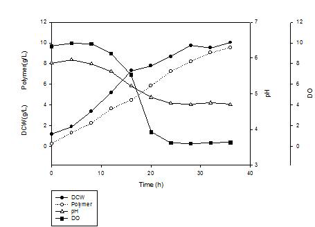 질소원 교체 및 함량 증대에 따른 pH, DCW, DO, polymer 양 변화
