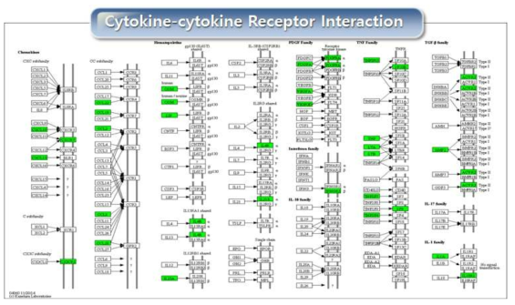 Cytokine-Cytokine Receptor Interaction