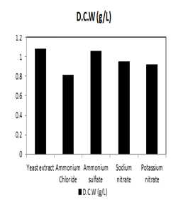 질소원 종류에 따른 D.C.W 변화