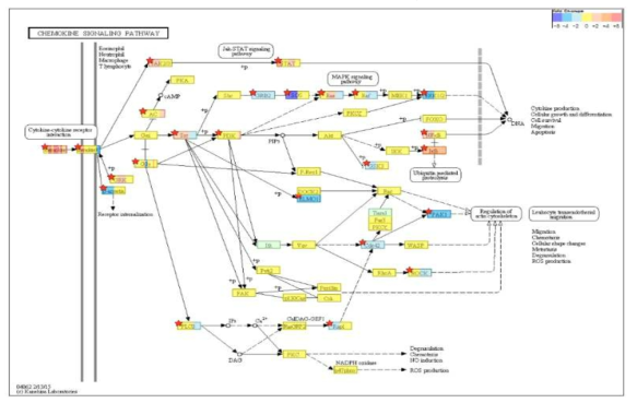 Chemokine signaling pathway