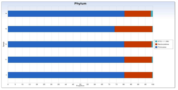 베타글루칸 및 유산균 급여에 따른 장내 미생물의 문(Phylum) 분류