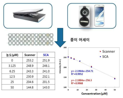 스마트폰 기반의 비색 측정기(SCA)와 스캐너를 통해 얻어진 종이 기반 어세이 영상을 통해 얻어진 표준용액 농도별 색 변화 정도에 대한 calibration curve