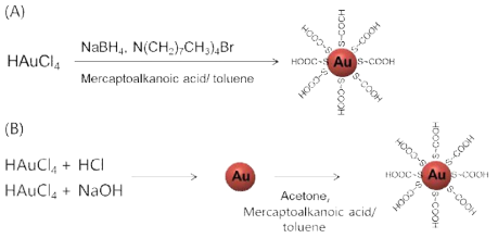 카르복실기를 가지는 금 나노입자의 합성: (A) Brust- Schiffrin법,(B) Martin법.