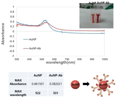 합성된 AuNP-HRP-Ab conjugate의 분광학적 특성 분석.