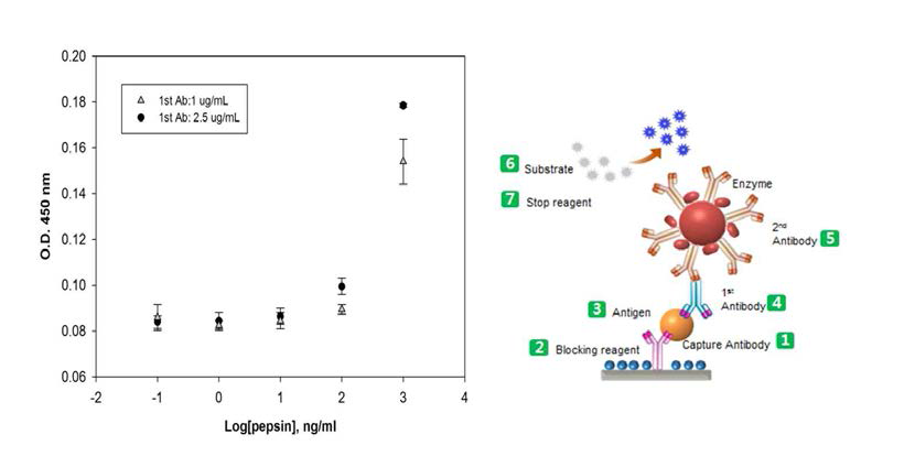 1st antibody의 농도와 펩신 농도변화에 따른 분광학적 신호변화.