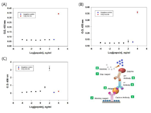 최적의 항원-항체쌍 (capture Ab)을 발굴하기 위한 샌드위치 ELISA: (A)Antibodies Online사, (B) Santa Cruz Biotechnology, (C) US Biological사 primary Ab이용.