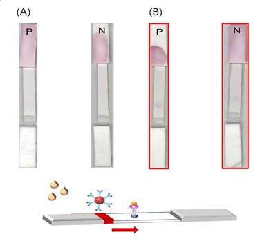 sample buffer의 조성변화: (A) 10 mM PBS, (B) 10 mM PBS pH 7.2 / tween-20 / methanol.