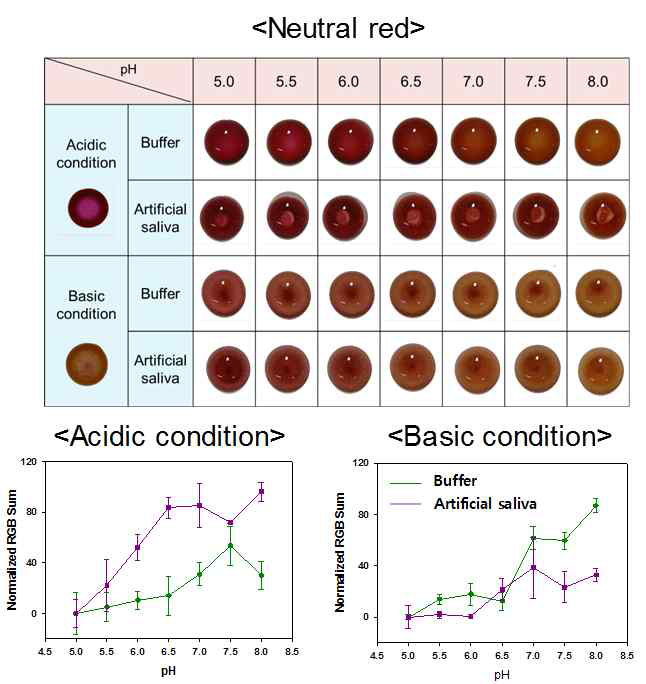 pH에 따른 Neutral red 지시약의 색 변화와 RGB값.