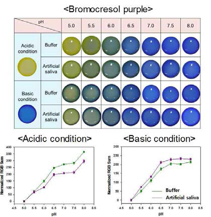 pH에 따른 Bromocresol purple 지 시약의 색 변화와 RGB값.
