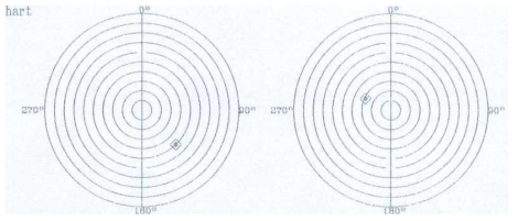 동심도 Polar Chart