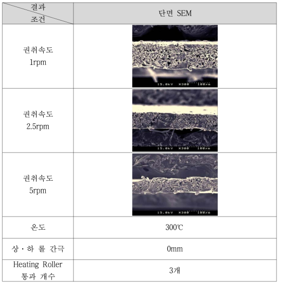 권취속도에 따른 단면 SEM image