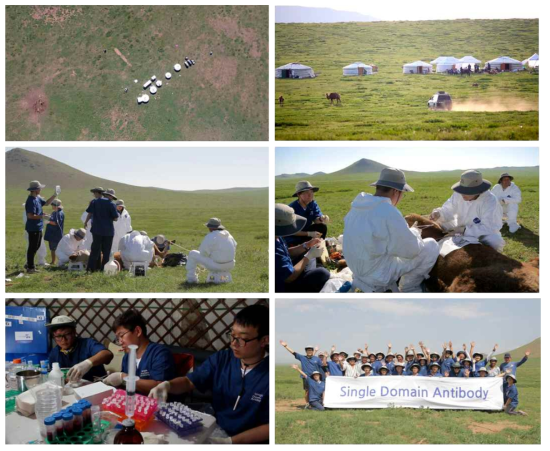2015년도 몽골현지 연구