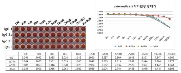Salmonella S-3 낙타혈청의 항체가 ELISA 결과