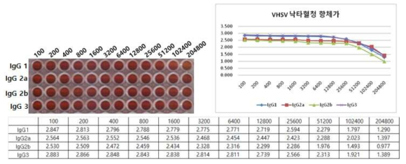 VHSV 낙타혈청의 항체가 ELISA 결과