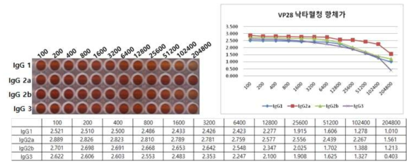 VP28 재조합 단백질 낙타혈청의 항체가 ELISA 결과