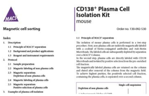 시판중인 mouse CD138 plasma cell isolation kit