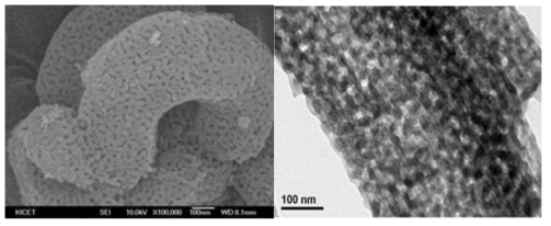 자성나노입자가 담지된 다공성 소재의 FE-SEM 및 TEM 이미지