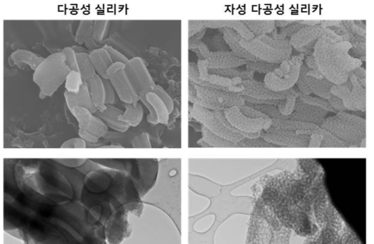 화학적 환원제를 이용한 자성다공성실리카 소재의 SEM, TEM 결과