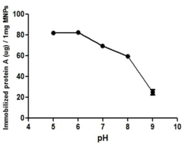 pH에 따른 Protein A-cys의 고정화 최적화