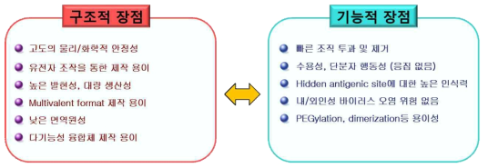 단일도메인항체의 장점