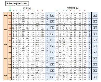 라마와 단봉낙타 Frame region 4에서의 서열 비교