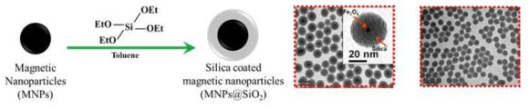 실리카 코팅 자성나노입자 제조방법