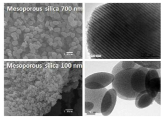 전이금속염을 이용한 다공성 실리카 입자표면 및 기공특성 확인